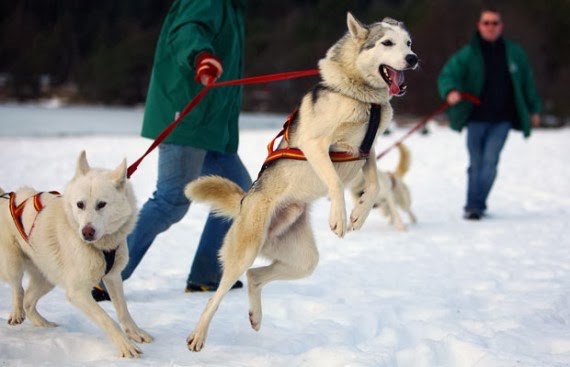 Tutta colpa della pettorina? – Parte&nbsp;prima