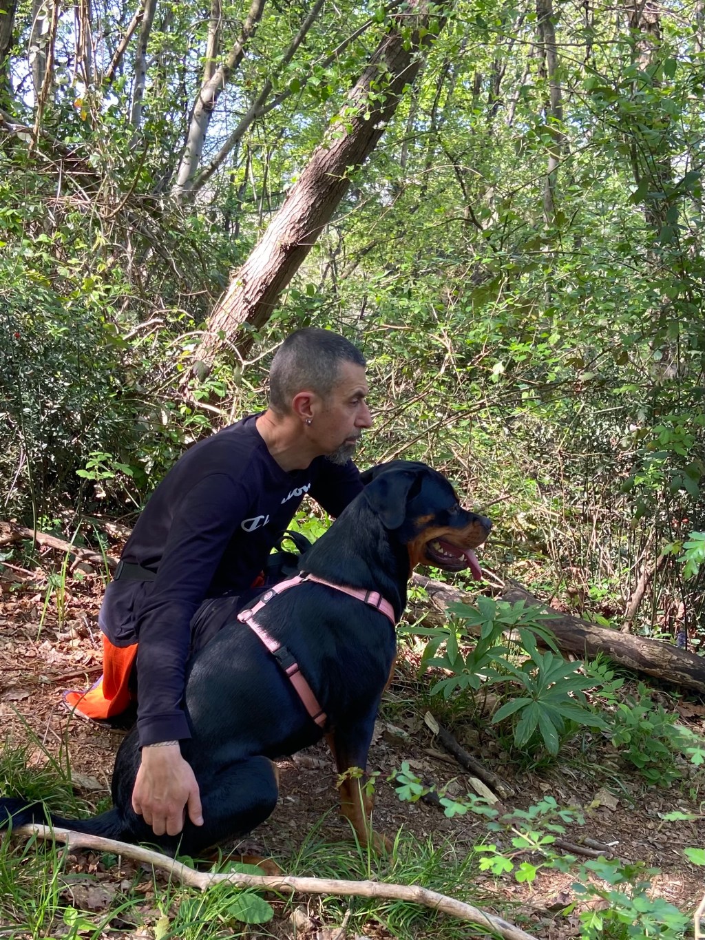 Oltre il pregiudizio: la grande anima del&nbsp;Rottweiler