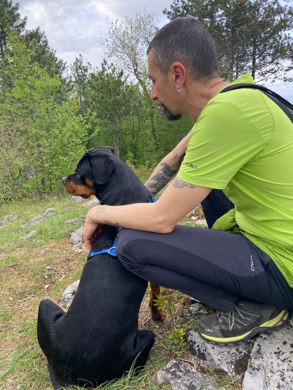 Non sono il capobranco [e non lo sarò&nbsp;mai]