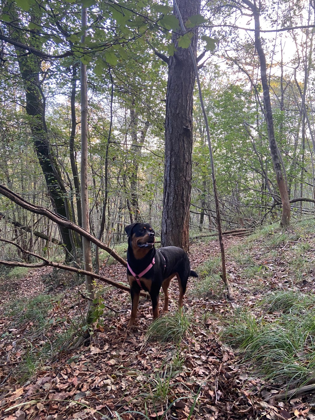 Ma quanto è&nbsp;impegnativa?