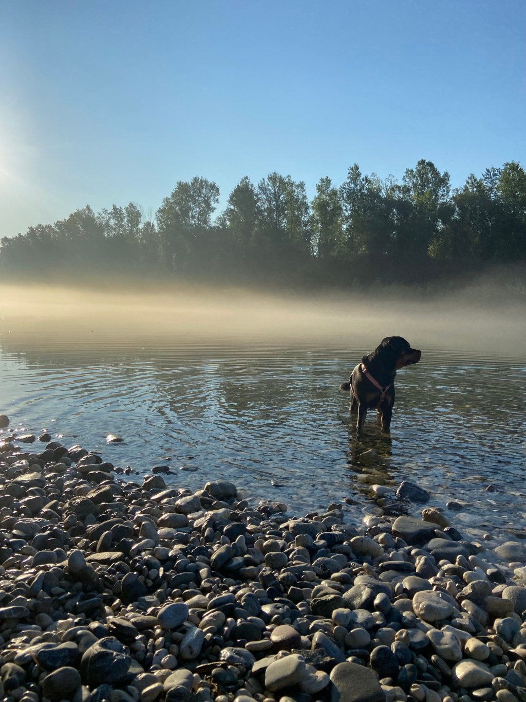 La lezione di&nbsp;Kyra