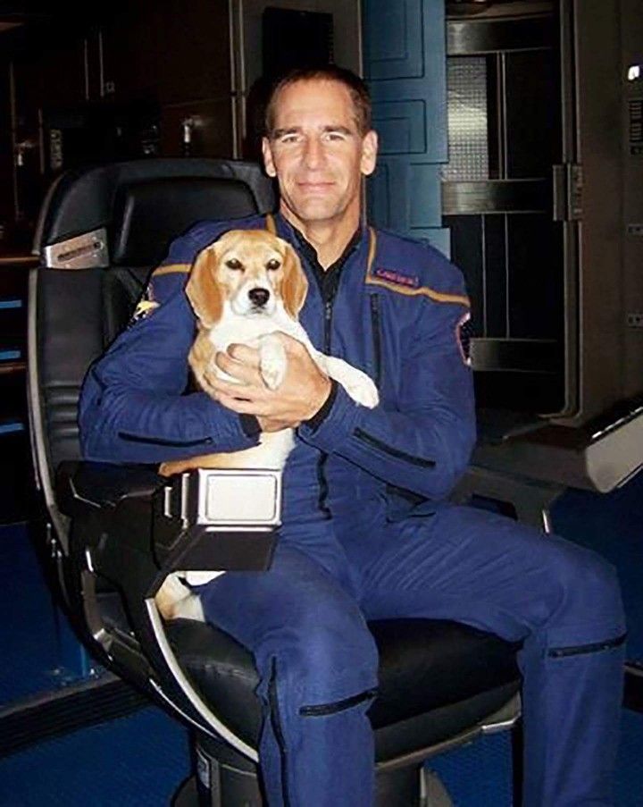 Dove nessun cane era mai&nbsp;arrivato