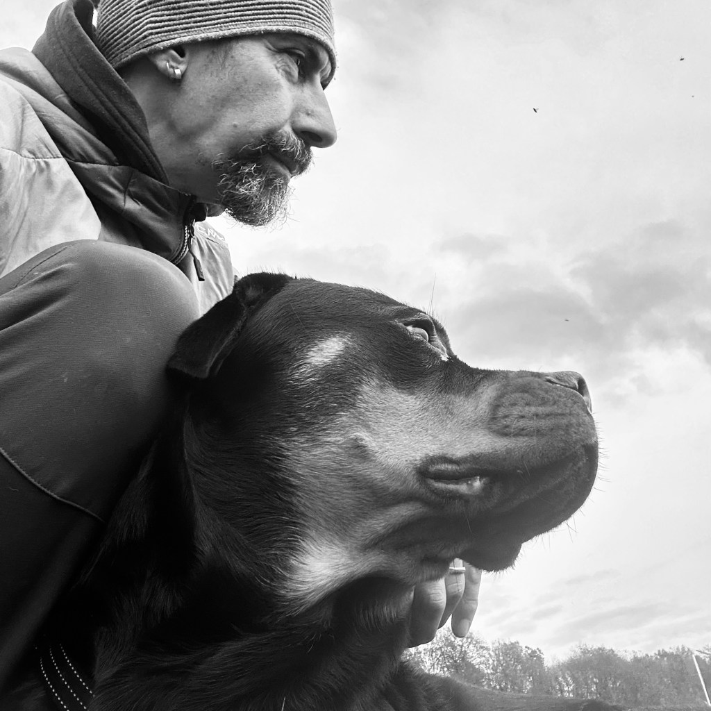 Il cruscotto segreto